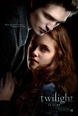 回声之城 悬疑电影 AI电影推荐封面